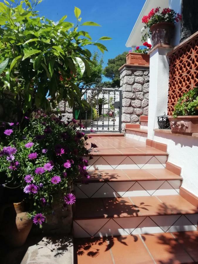 Capri Sea View Villa Экстерьер фото
